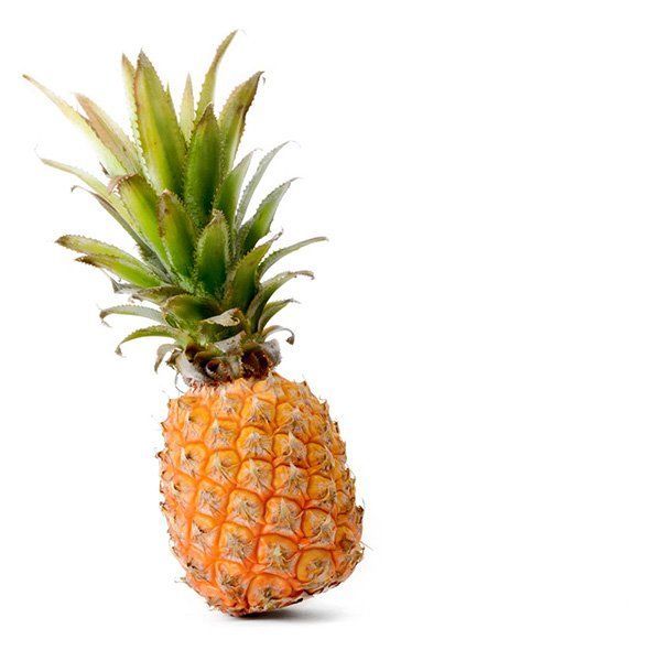 L’Ananas tout savoir sur ce fruit exotique tout savoir sur les fruits La Cour