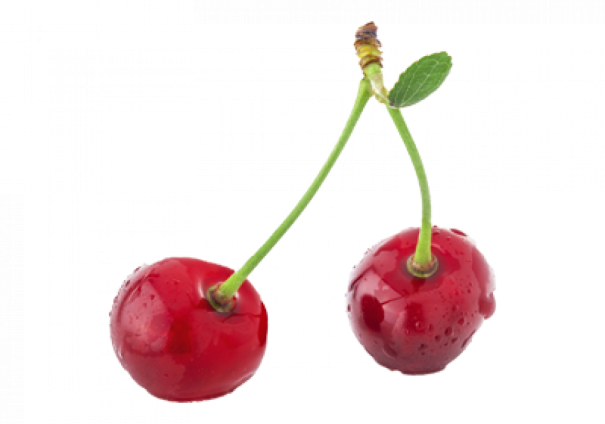 La cerise griotte - Cru00e9dits Vitabio