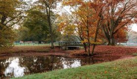 Chute des feuilles - Cru00e9dits Wikipedia