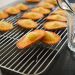 degustation-madeleines