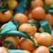 clementines de Corses