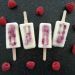 degustation-glaces-framboises