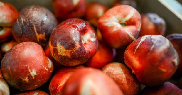 Pêches, nectarines, brugnon : Comment les reconnaître ?