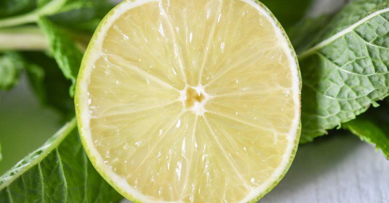 Le citron vert : fraîcheur et vitalité pour l'été ! - tout savoir