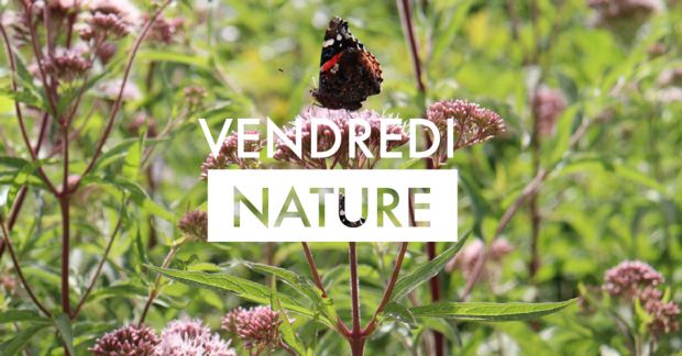 vendredi nature