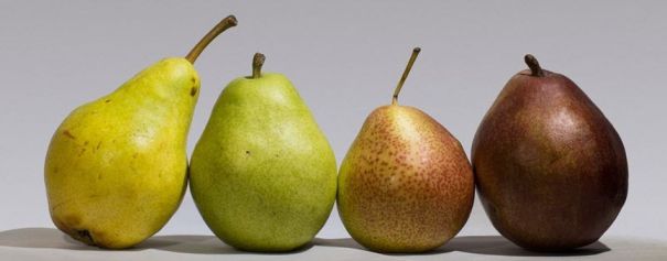 4 variétés de poires