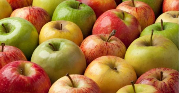 La pomme, un fruit d'automne simple adoré des français