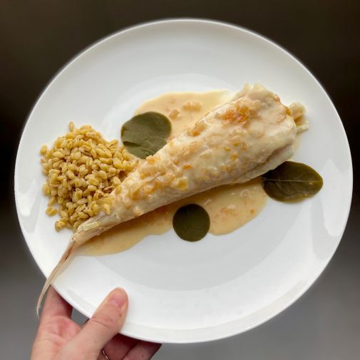 lottes pamplemousse lottes pamplemousse