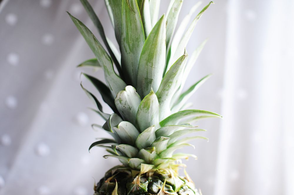 ananas-fruit