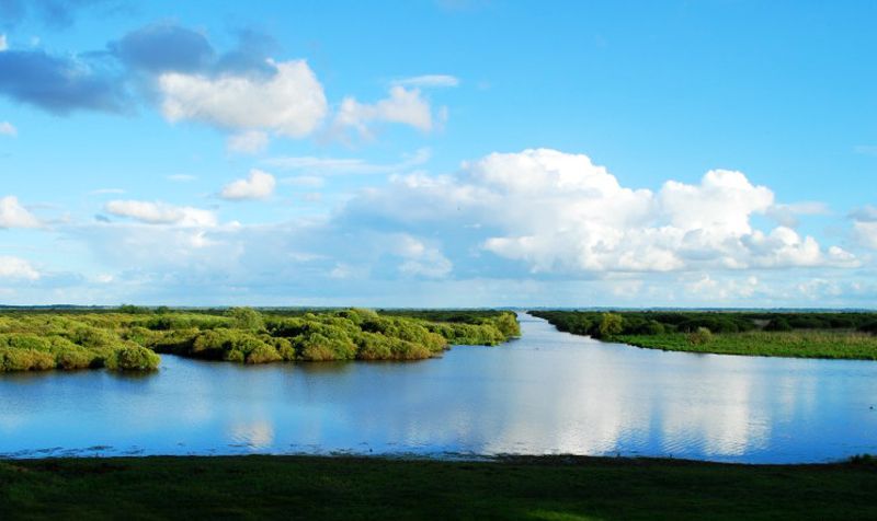lac-de-grand-lieu