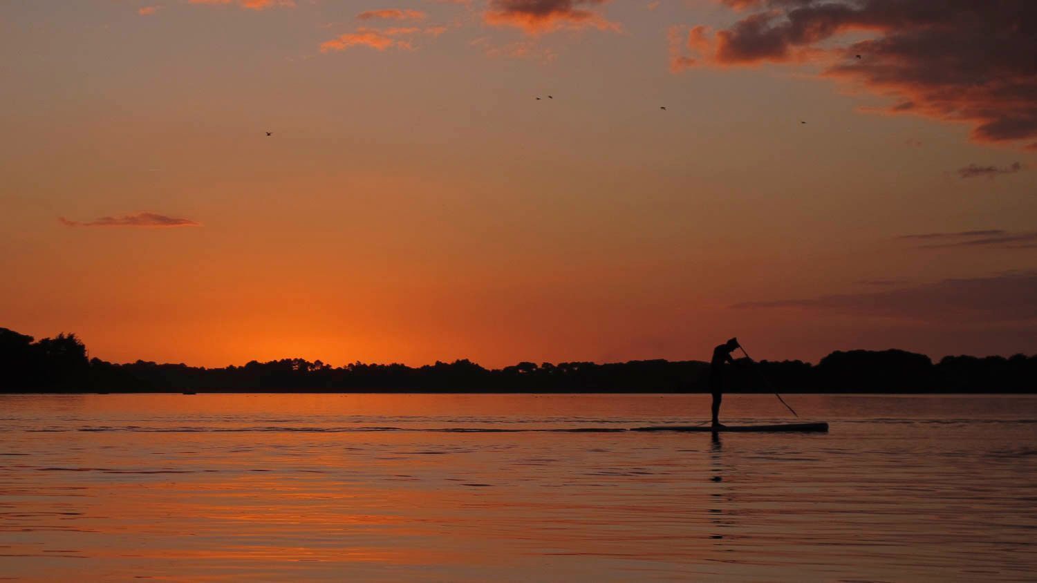 paddle-golfe-du-morbihan