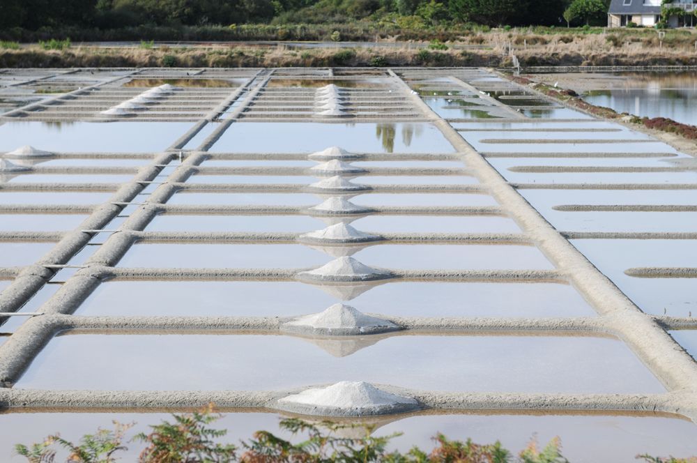 salines