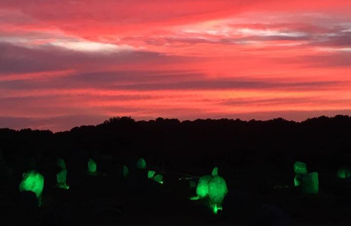 skedanoz-carnac