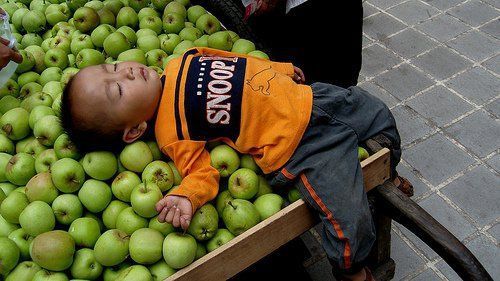 5 expressions fruitées de la langue française - Le bric à brac ...