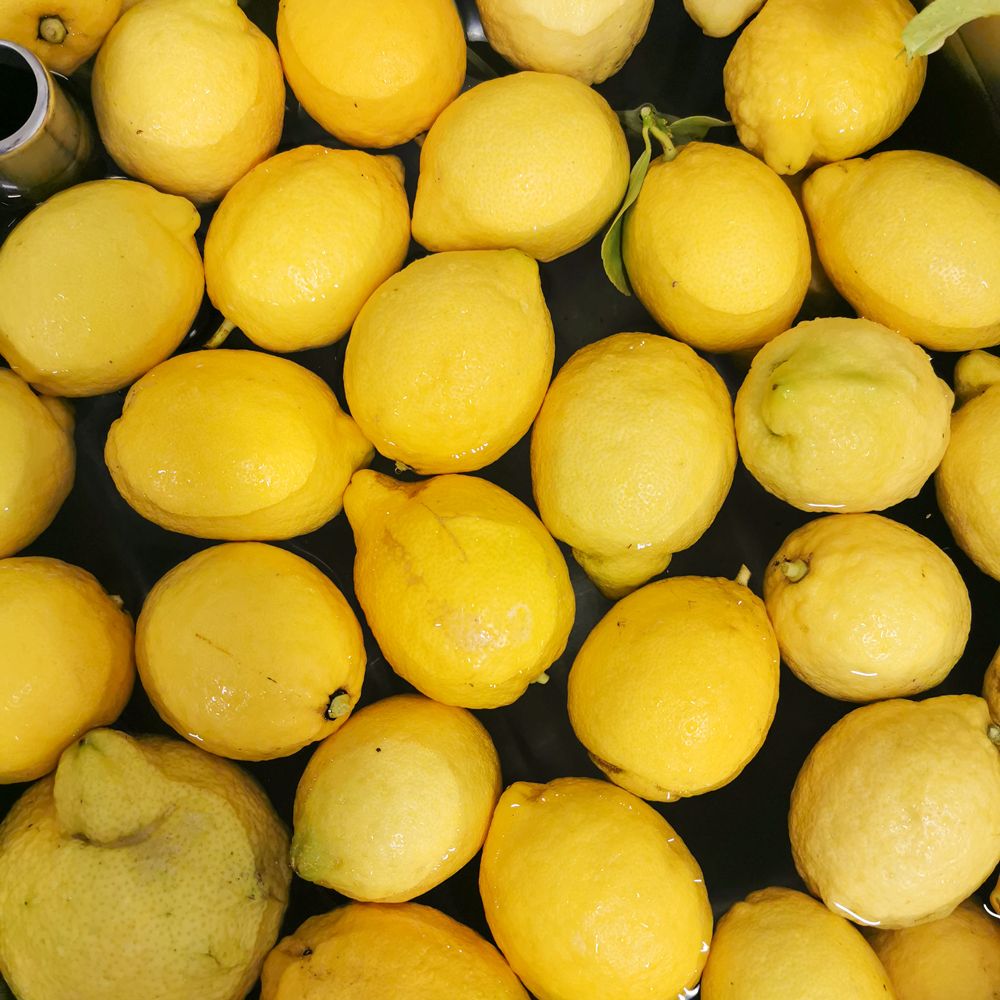 coulisses-citron4.jpg