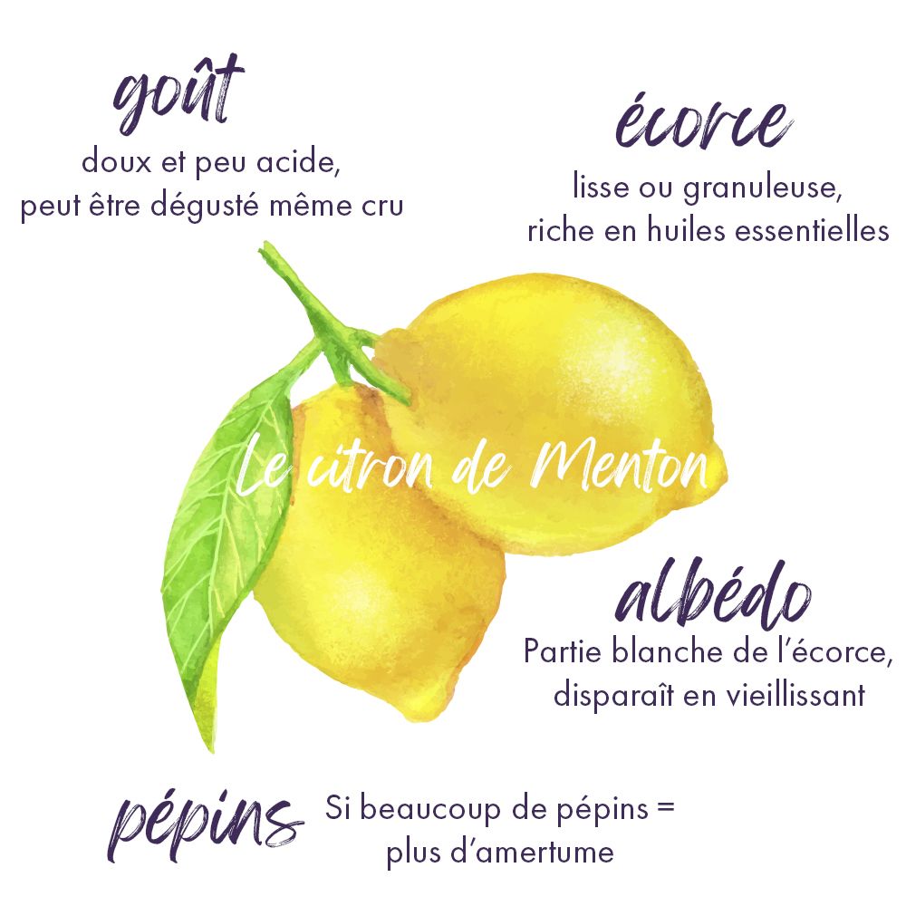 infos-citron-menton-insta2.jpg
