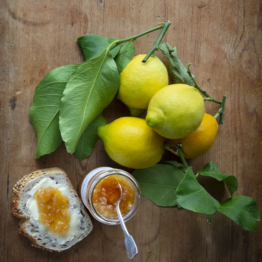 tartine-citron-menton.jpg
