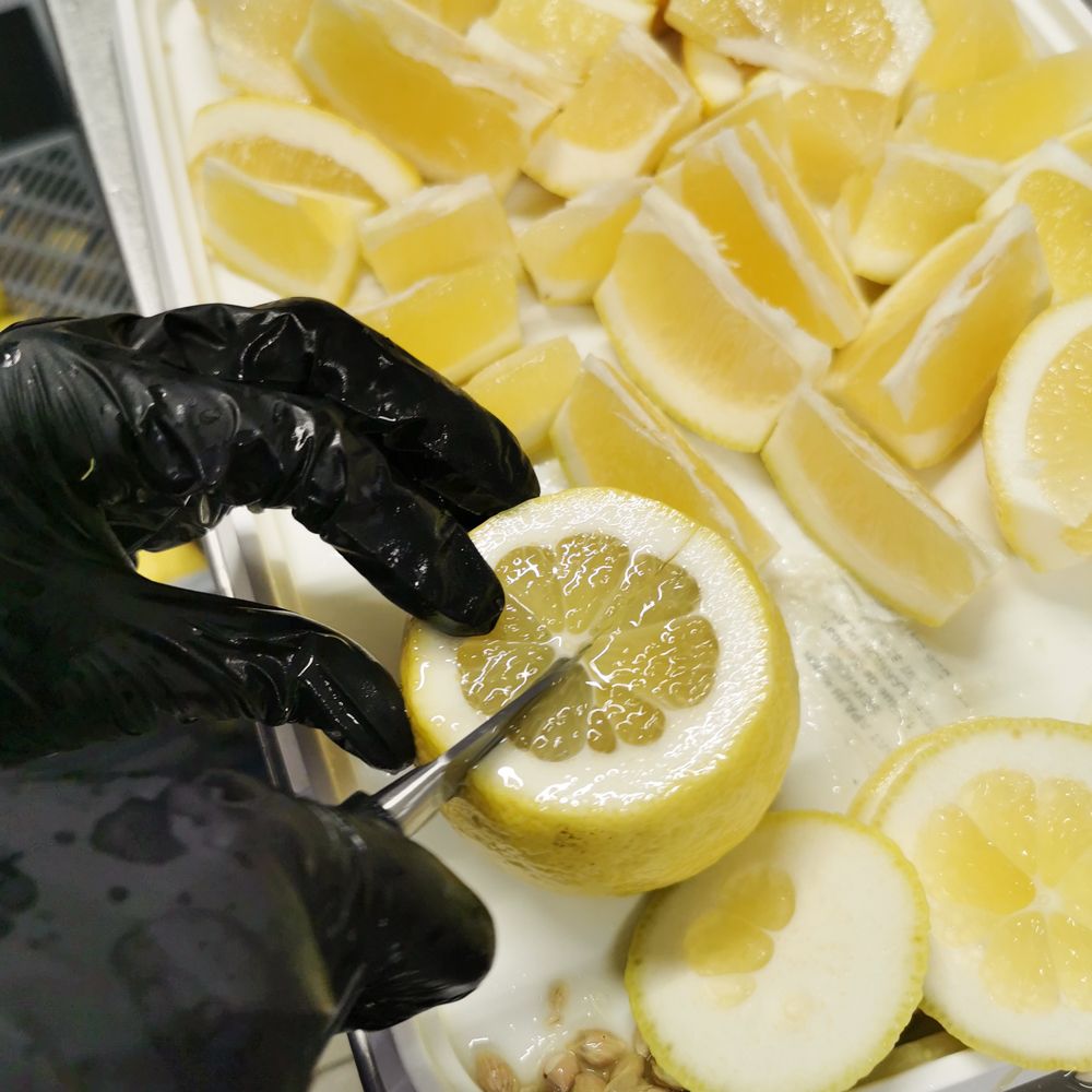 visuel-citrons-menton-linkedin2.jpg