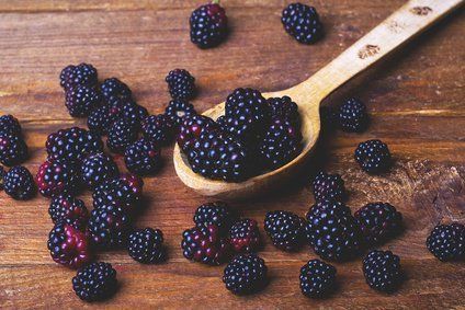 confiture-mures-sauvages