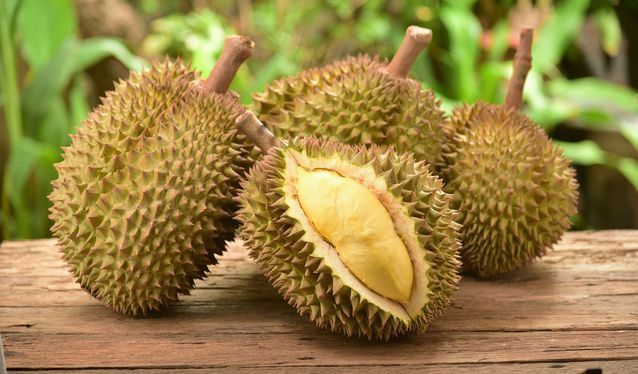 durian fruit de thailande
