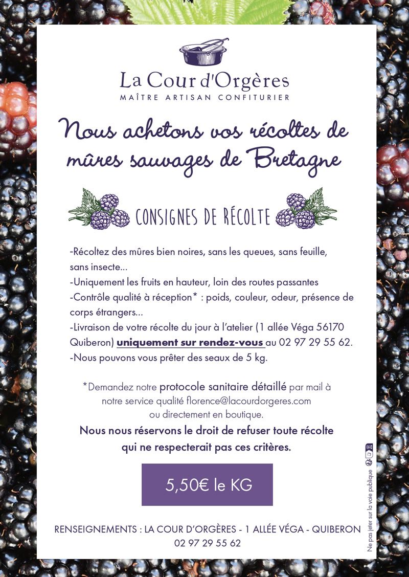 Comment vendre sa récolte de mures sauvages