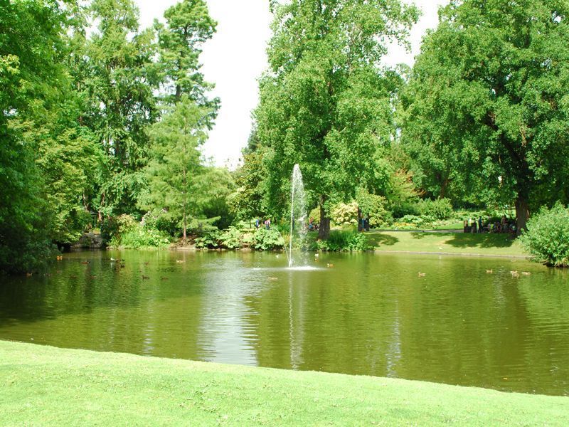 le-jardin-des-plantes