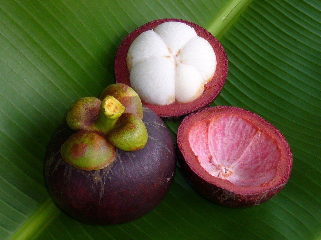 mangoustan-fruit