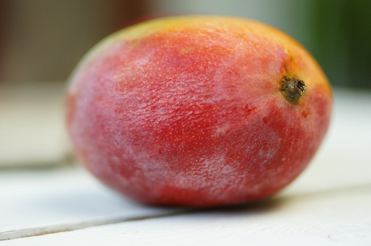 mangue-entiere_web