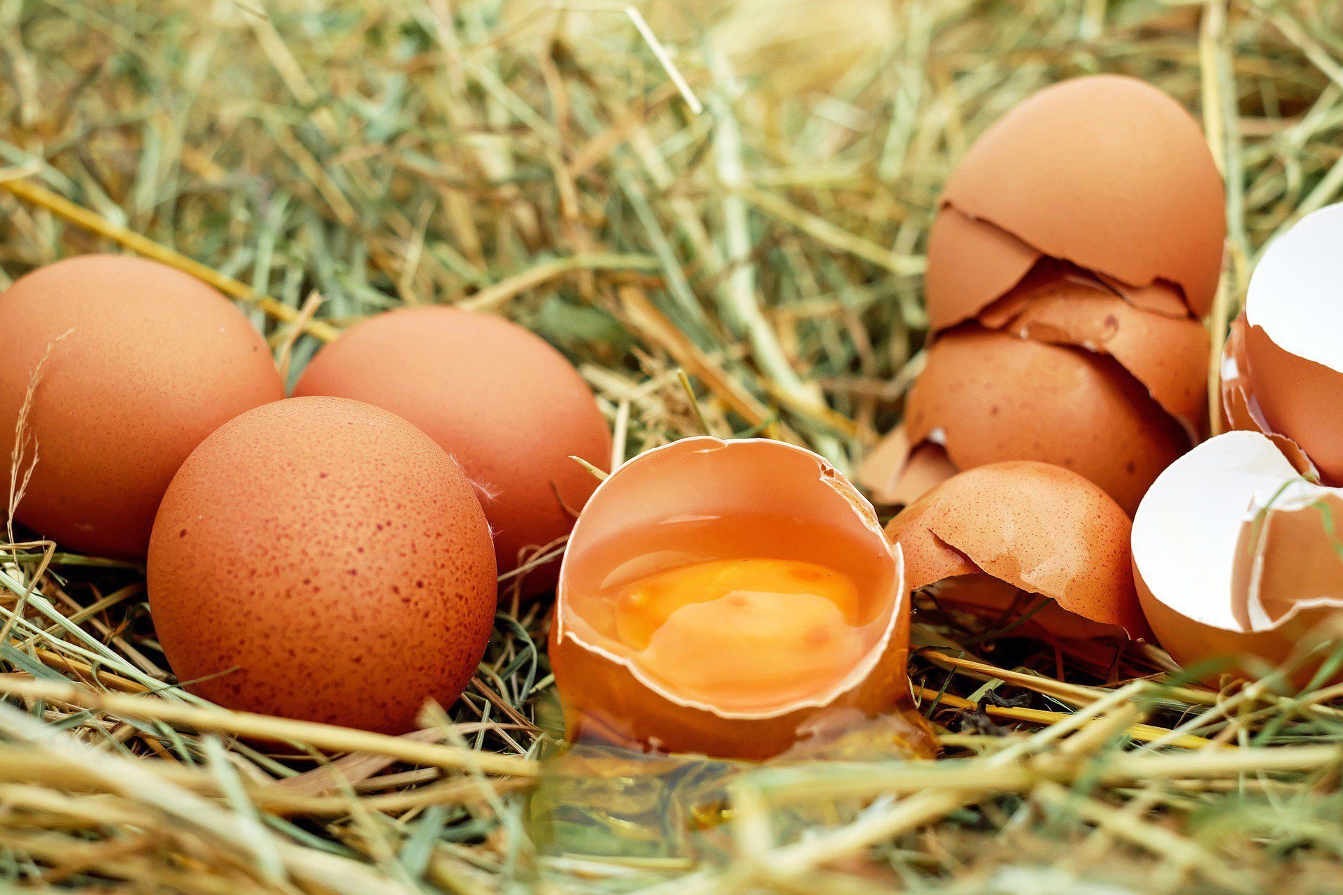 œufs et superstition dans la tradition