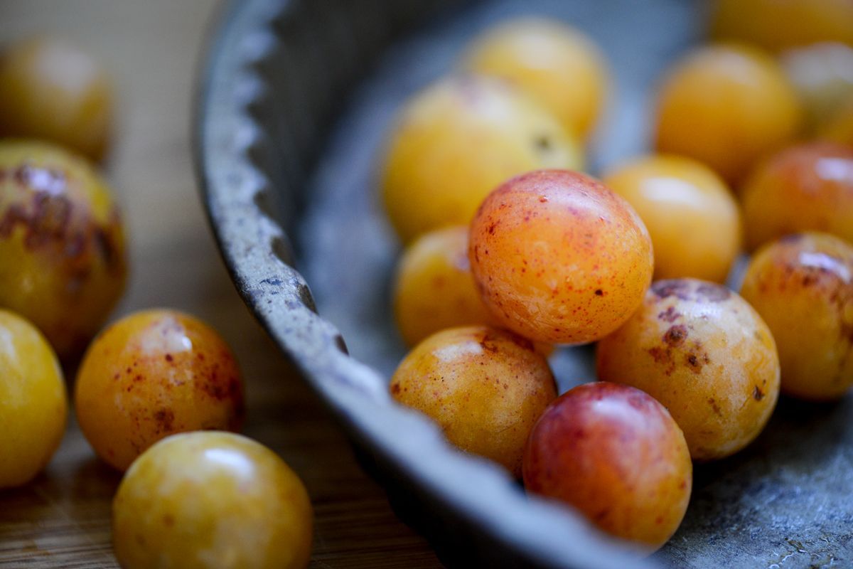 mirabelles