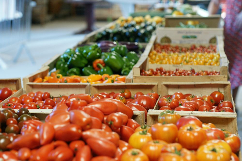 tomates-jardin-de-kernavest