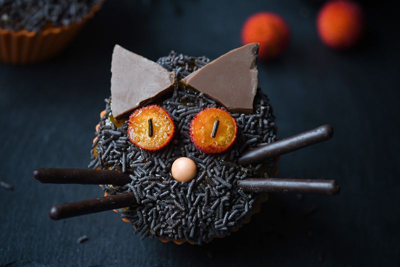 visuel-chats-halloween-blog3