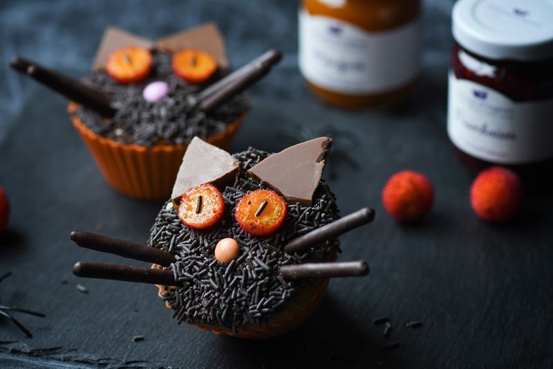 visuel-chats-halloween-blog4